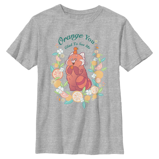 Boy's Disney Orange You T-Shirt