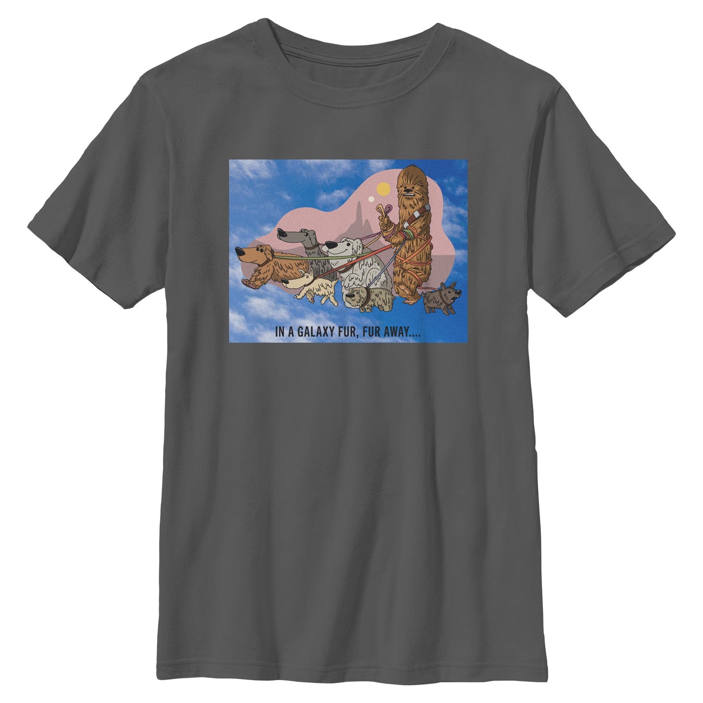 Boy's Star Wars In A Galaxy Fur  Fur Away T-Shirt